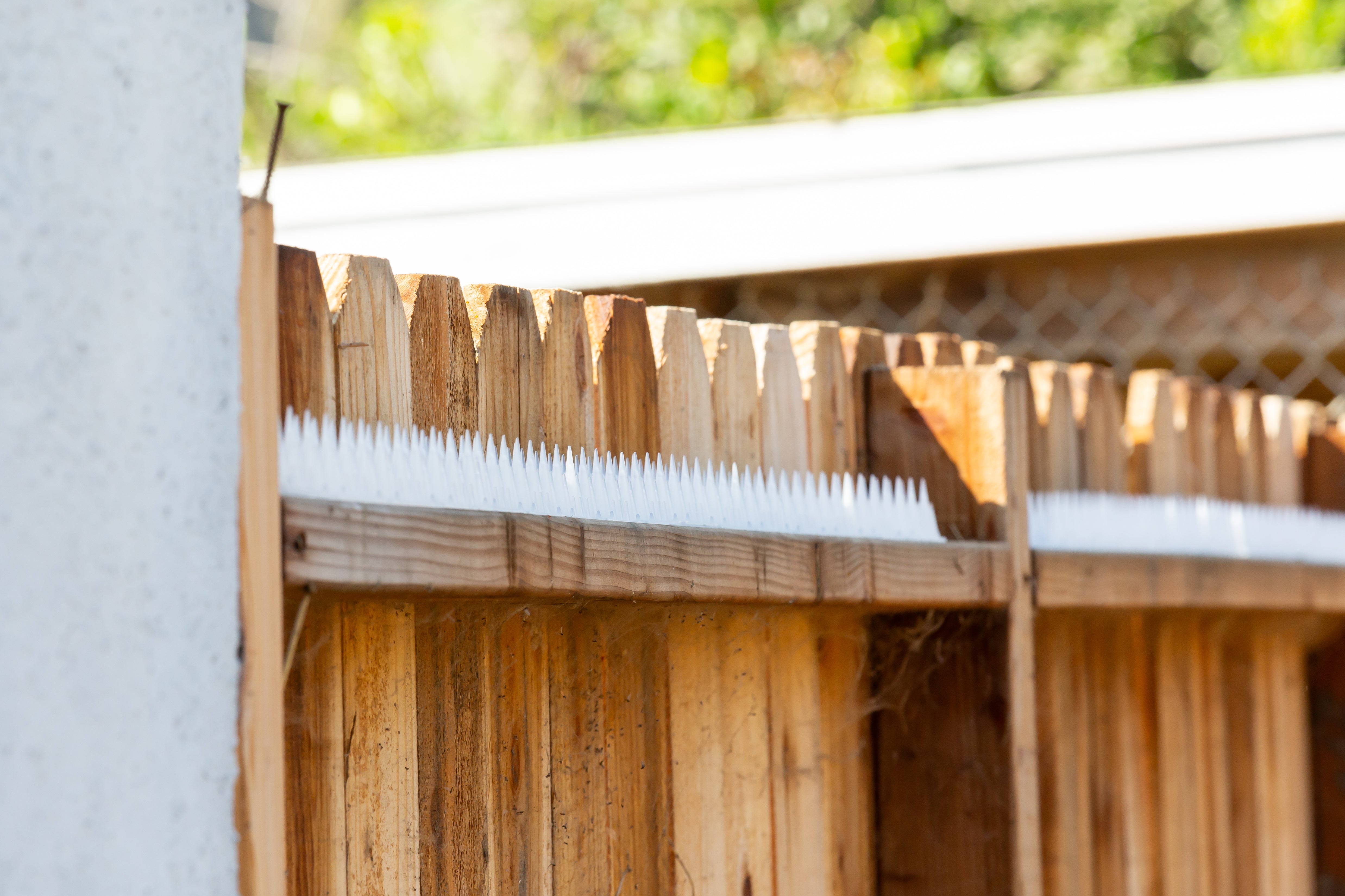 Repair Rodent  Spikes After Storms Easily