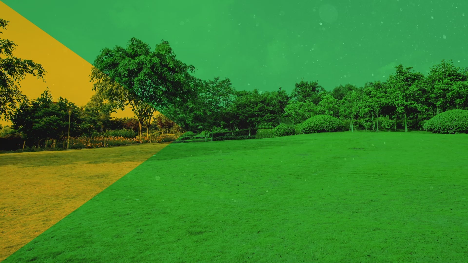 Pics anti-oiseaux et anti-rongeurs, motif de pics unique qui dissuade efficacement les pigeons, les écureuils et les ratons laveurs embêtants. S'installe sur les clôtures, les portails, les toits, les murs et plus encore !